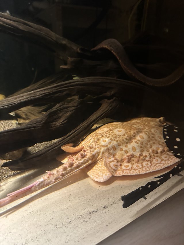 IMG_6160.jpeg IMG_6160.jpeg