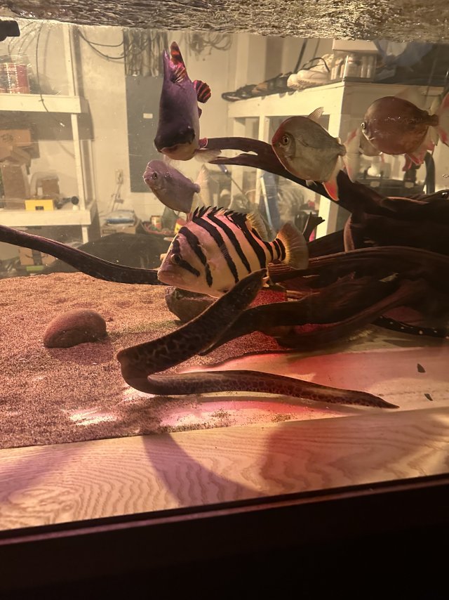 IMG_6151.jpeg IMG_6151.jpeg