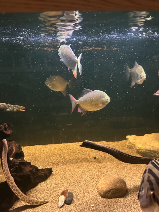 IMG_6157.jpeg IMG_6157.jpeg