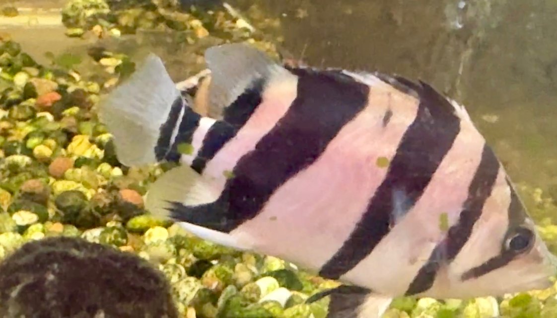 IMG_2565.jpeg IMG_2565.jpeg