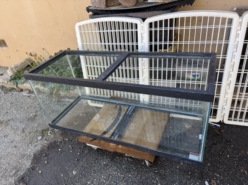 IMG_2052.jpeg IMG_2052.jpeg