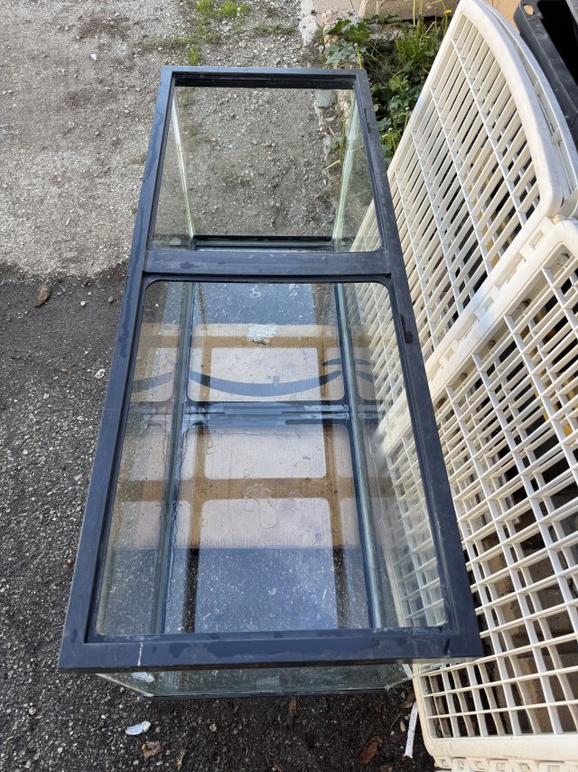 IMG_2053.jpeg IMG_2053.jpeg