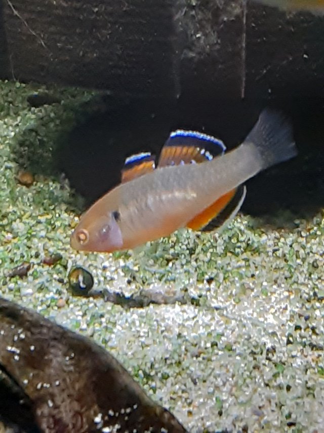 20201220_210429.jpg