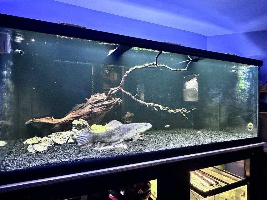 IMG_0373.jpeg IMG_0373.jpeg