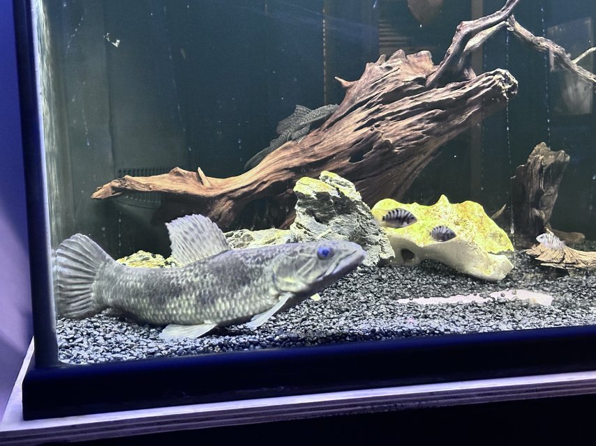 IMG_0372.jpeg IMG_0372.jpeg