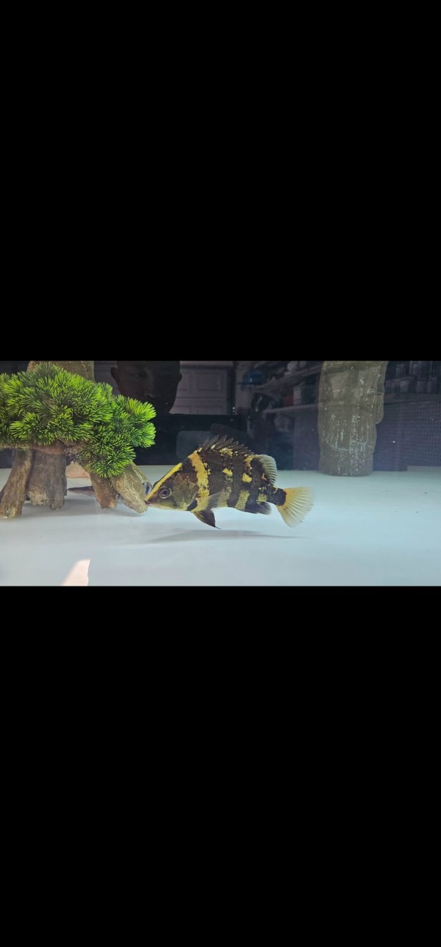 Screenshot_20250407_024155_Gallery.jpg