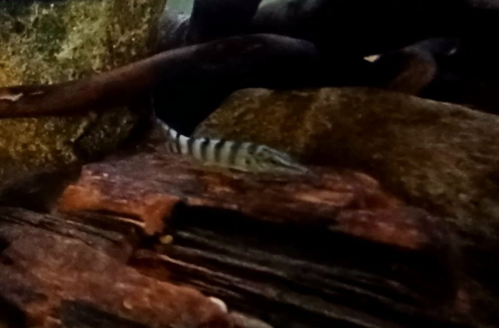 20250407_121819.jpg