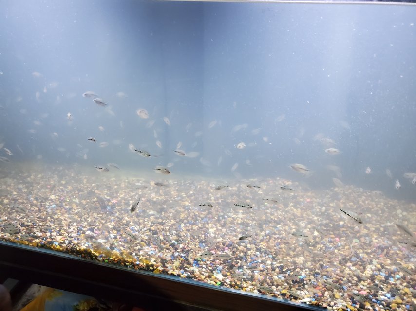 20250407_233109.jpg 20250407_233109.jpg