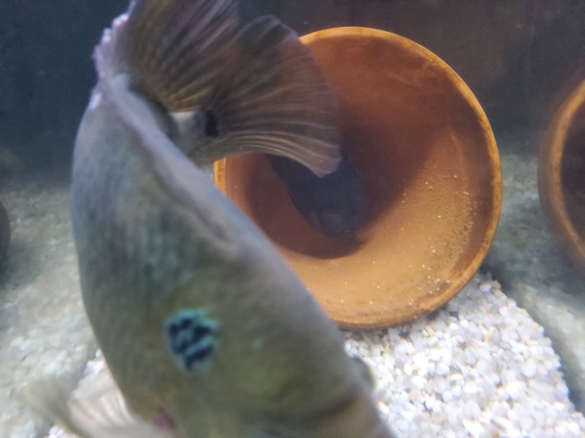 20250407_233157.jpg 20250407_233157.jpg