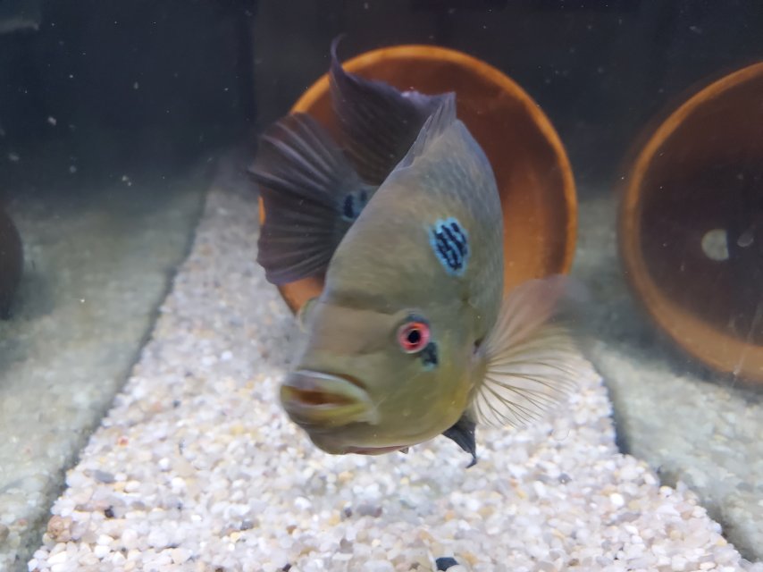 20250407_233201.jpg 20250407_233201.jpg