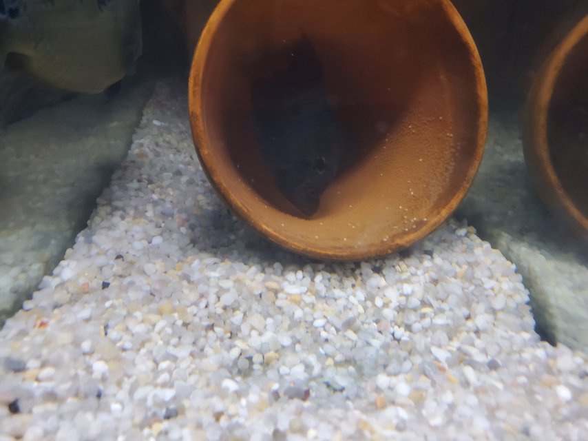 20250407_233203.jpg 20250407_233203.jpg