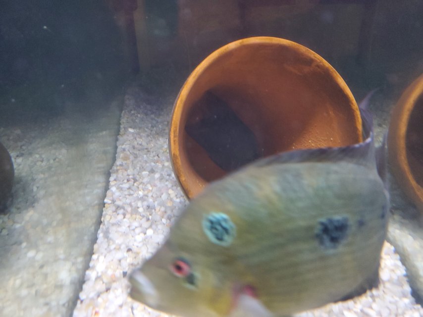 20250407_233154.jpg 20250407_233154.jpg