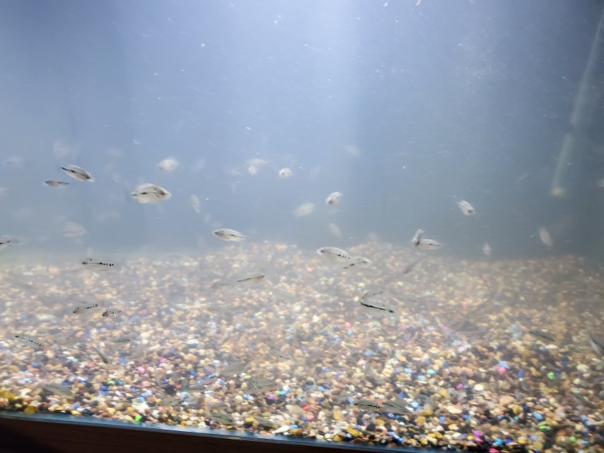 20250407_233112.jpg 20250407_233112.jpg