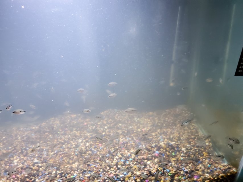 20250407_233126.jpg 20250407_233126.jpg