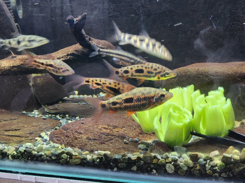 20231029_174545.jpg 20231029_174545.jpg