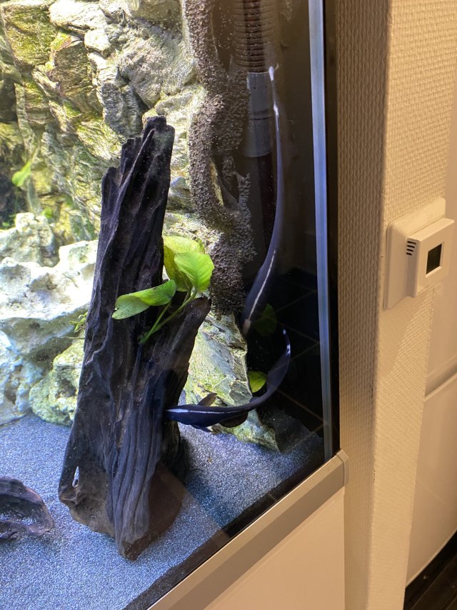 IMG_2256.jpeg IMG_2256.jpeg