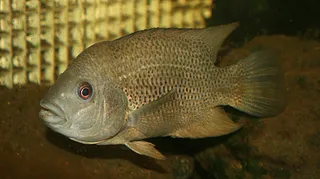 1744294308611.png 1744294308611.png