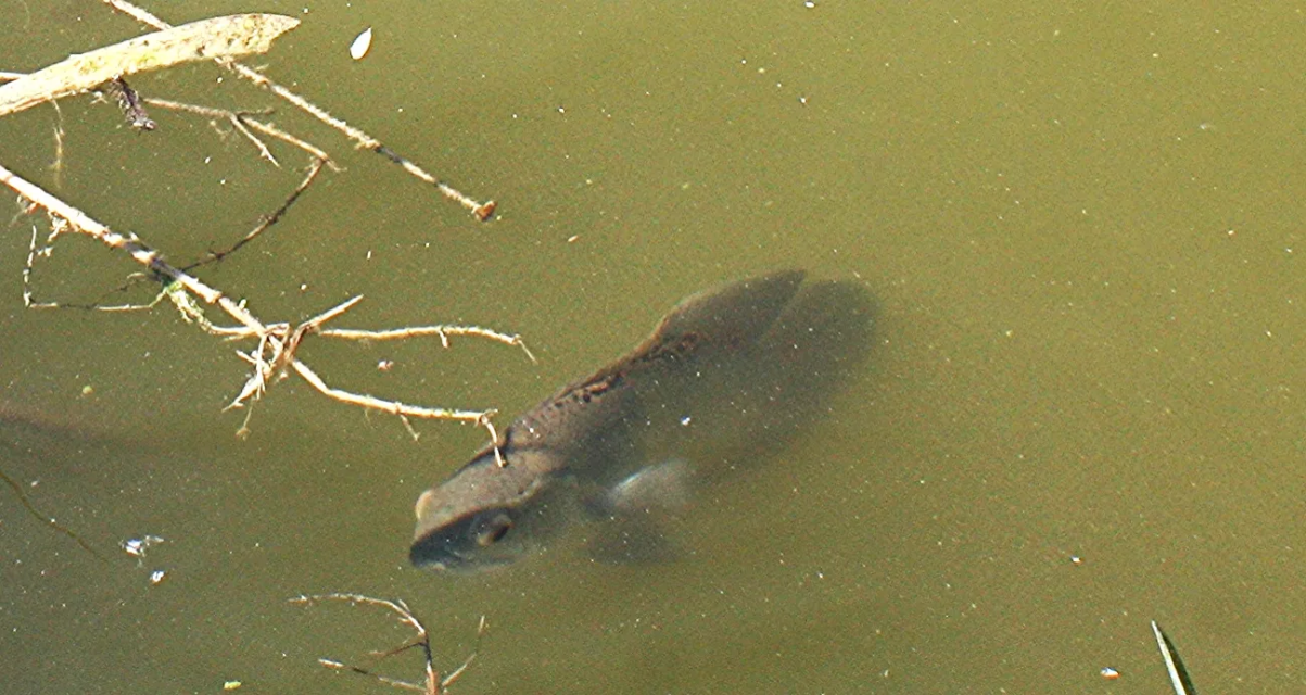 1744294519786.png 1744294519786.png