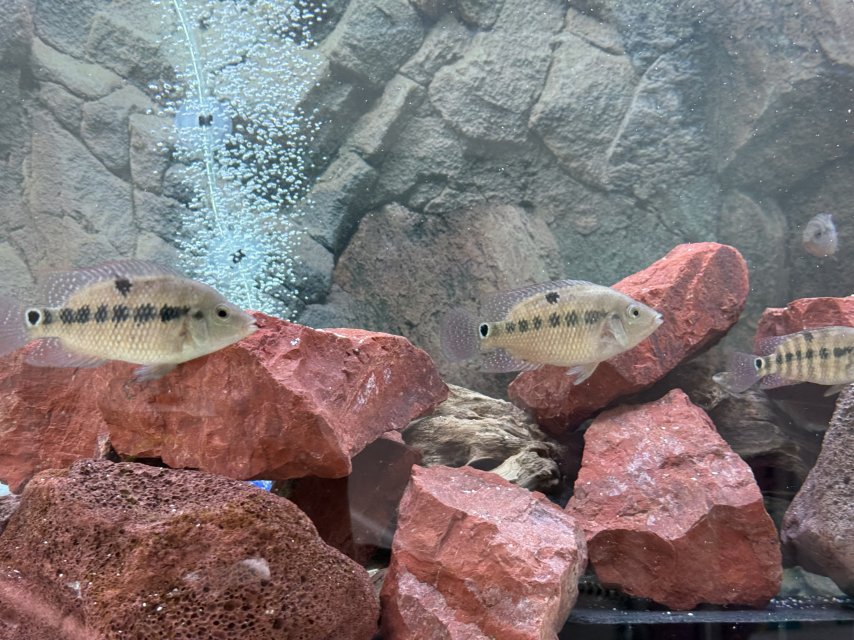 IMG_1592.jpeg IMG_1592.jpeg