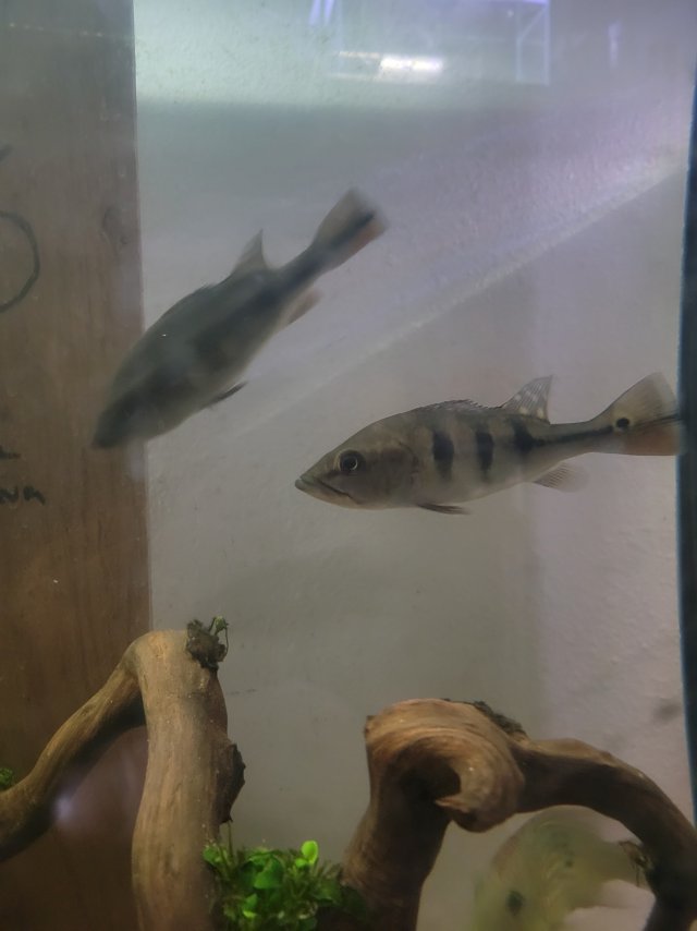 1000019156.jpg 1000019156.jpg