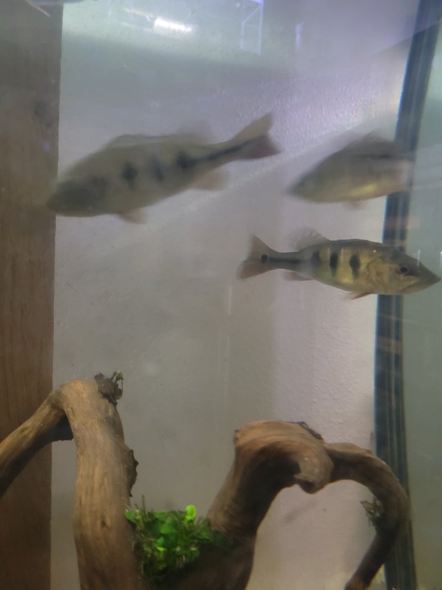 1000019158.jpg 1000019158.jpg