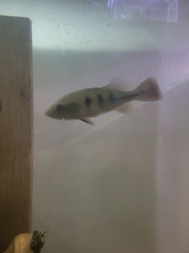 1000019157.jpg 1000019157.jpg