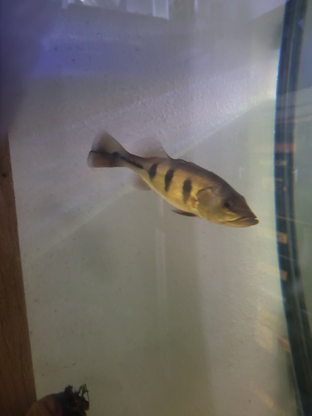 1000019159.jpg 1000019159.jpg