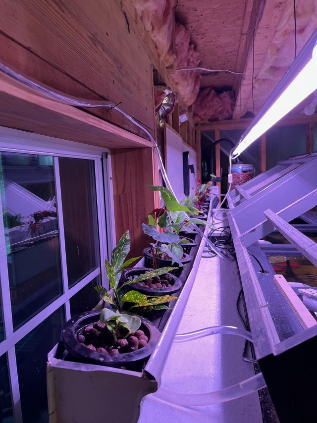 Plant filter, April 10, 2025.jpg