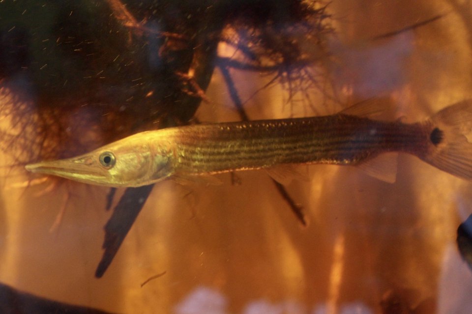 IMG_7989.jpeg IMG_7989.jpeg