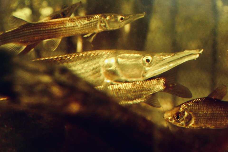 IMG_5209.jpeg IMG_5209.jpeg