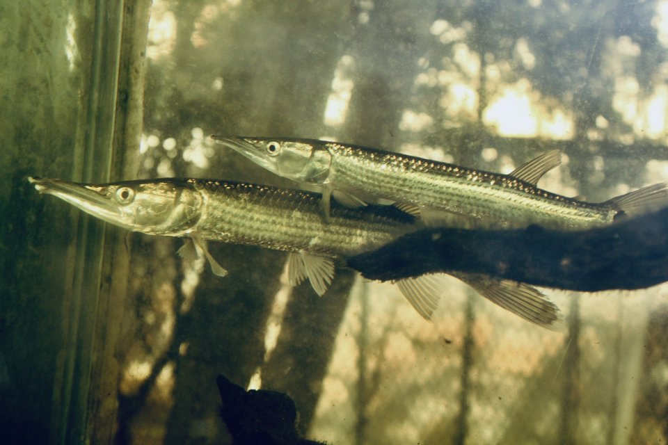 IMG_5083.jpeg IMG_5083.jpeg