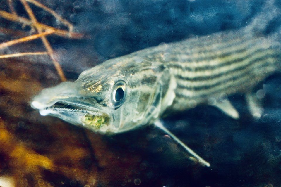 IMG_4503.jpeg IMG_4503.jpeg