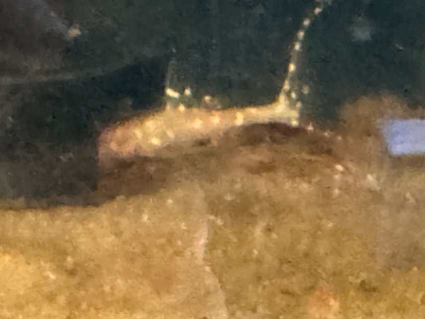 IMG_6143.jpeg
