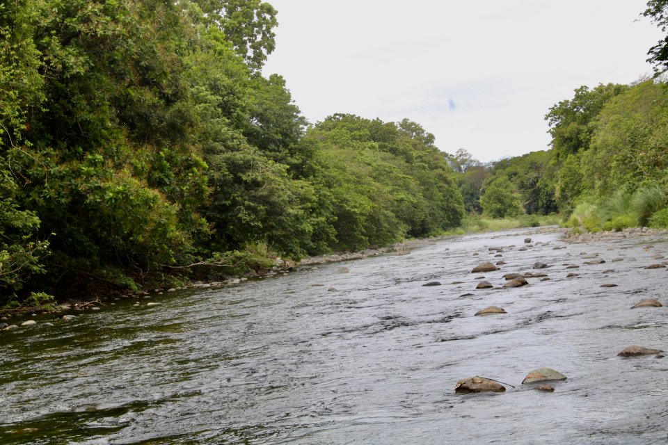 IMG_3267.jpeg IMG_3267.jpeg