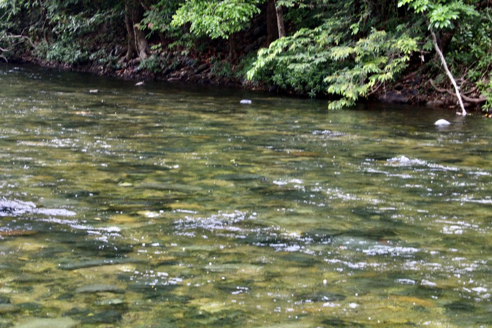 IMG_3270.jpeg IMG_3270.jpeg