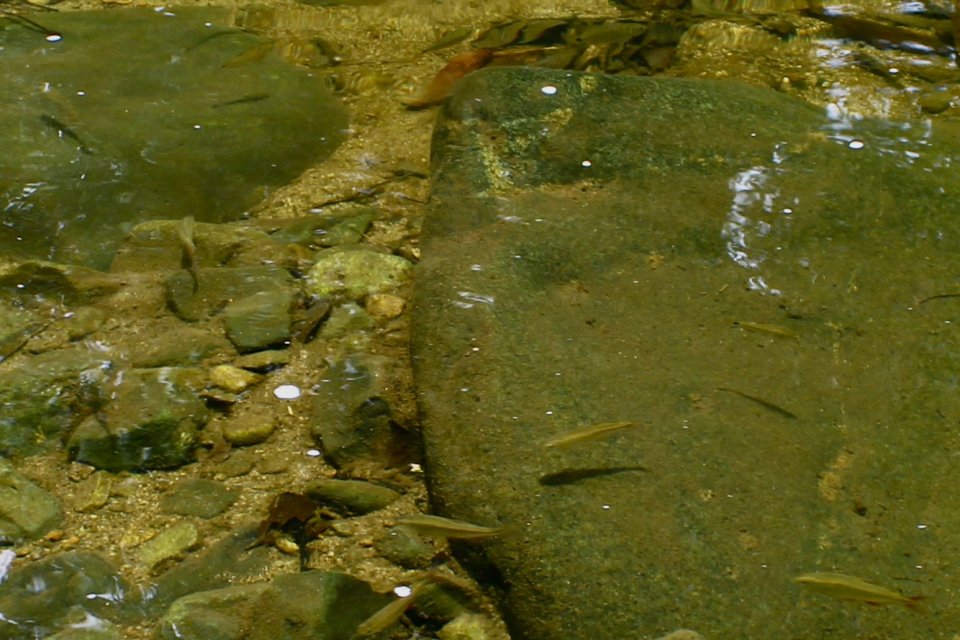 IMG_3290.jpeg IMG_3290.jpeg