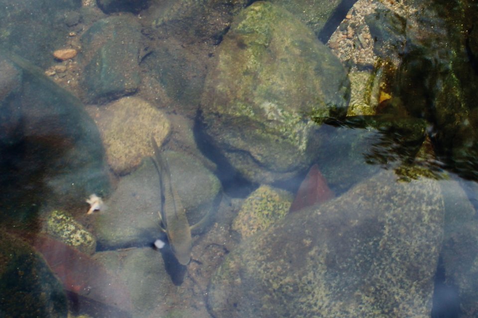 IMG_3303.jpeg IMG_3303.jpeg