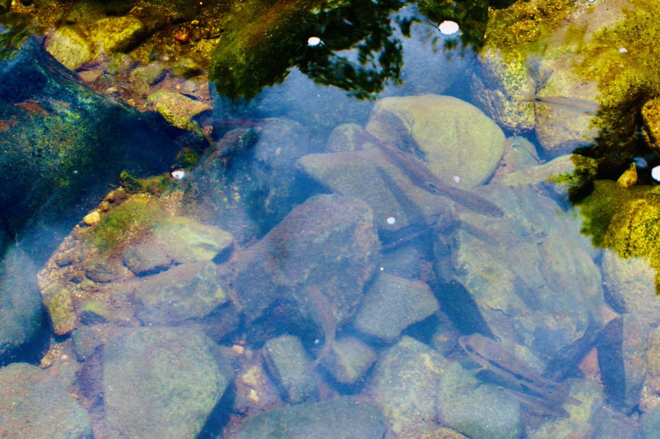 IMG_3306.jpeg IMG_3306.jpeg