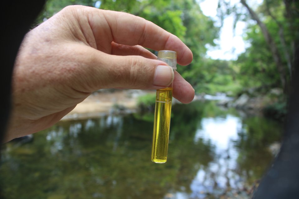 IMG_3281.jpeg IMG_3281.jpeg