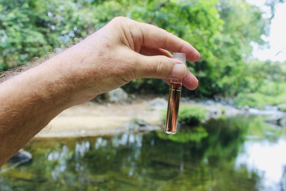 IMG_3278.jpeg IMG_3278.jpeg