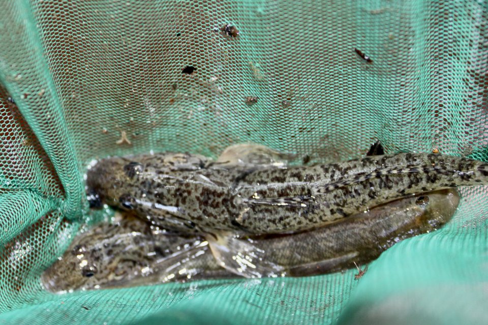 IMG_3318.jpeg IMG_3318.jpeg