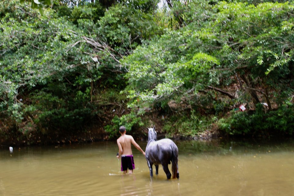 IMG_3317.jpeg IMG_3317.jpeg