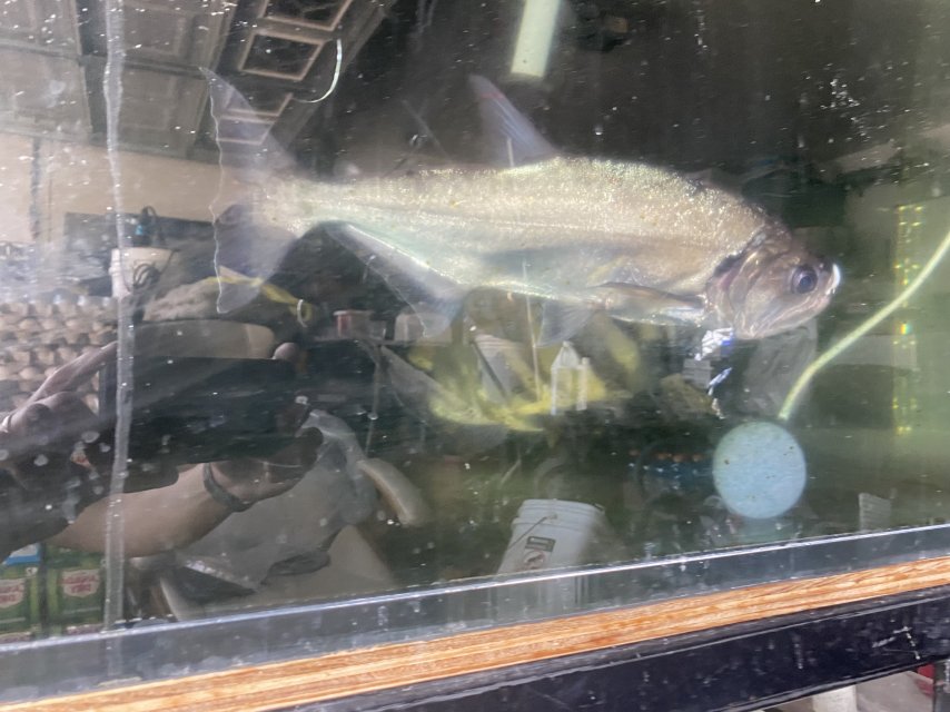 IMG_4319.jpeg IMG_4319.jpeg