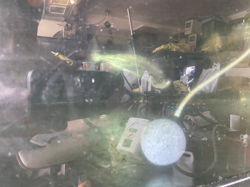 IMG_4315.jpeg IMG_4315.jpeg