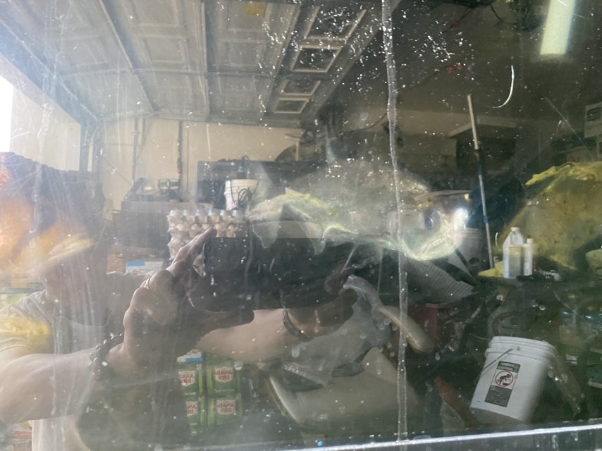 IMG_4318.jpeg IMG_4318.jpeg