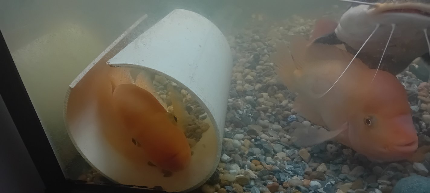 20250415_133144.jpg