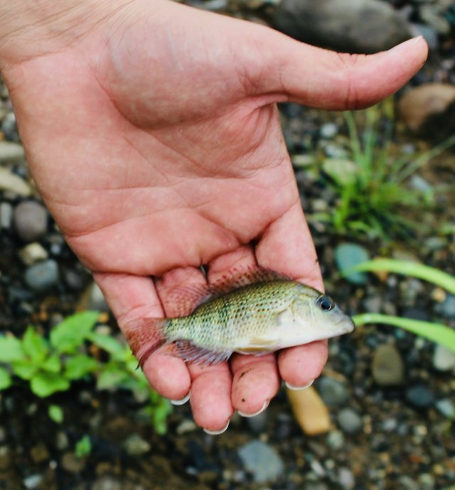 IMG_2723.jpeg IMG_2723.jpeg