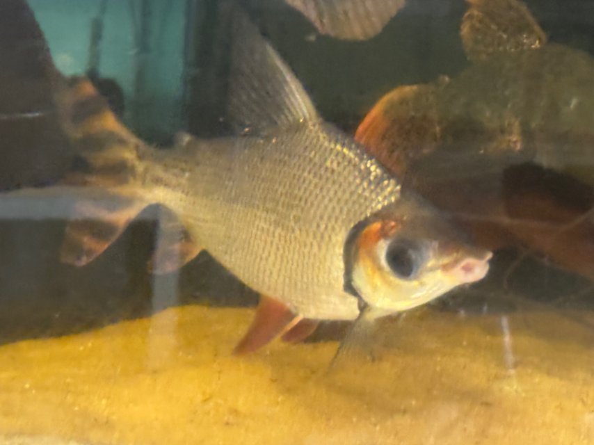 IMG_6190.jpeg IMG_6190.jpeg