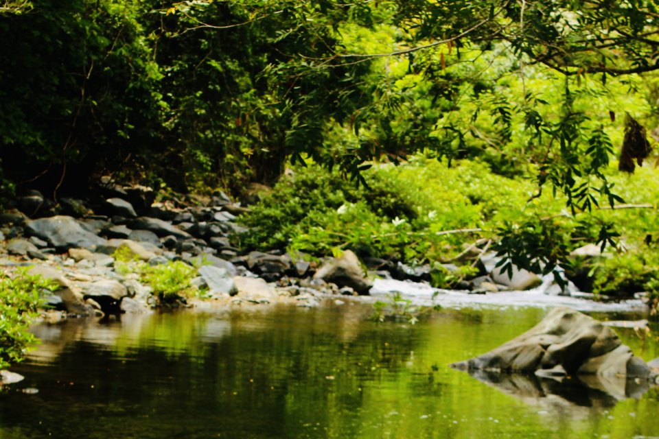 IMG_3273.jpeg IMG_3273.jpeg