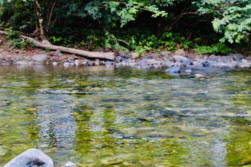 IMG_3263.jpeg IMG_3263.jpeg